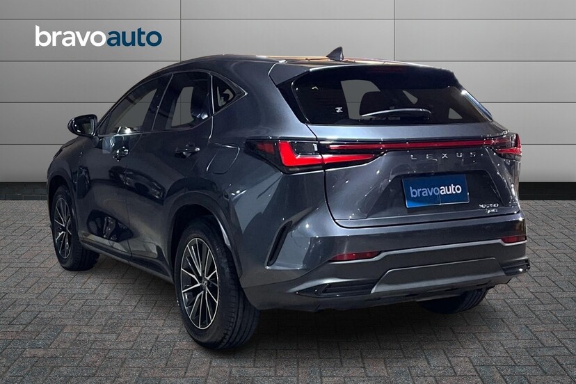 LEXUS NX250 usado 2023 0